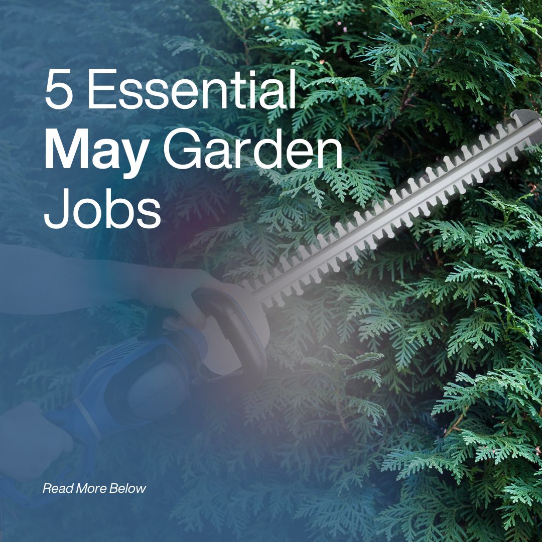 5 Essential Garden Jobs for May to get your garden Spring-ready!