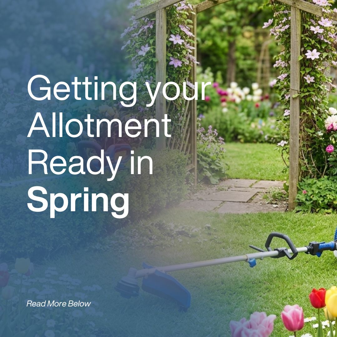 Getting your allotment ready in Spring