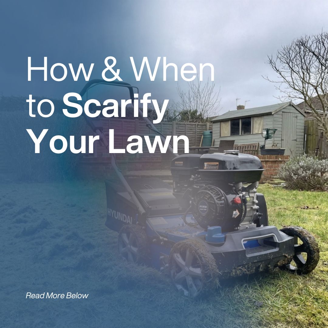 How & When to Scarify Your Lawn: A Complete Guide | Hyundai Power Products