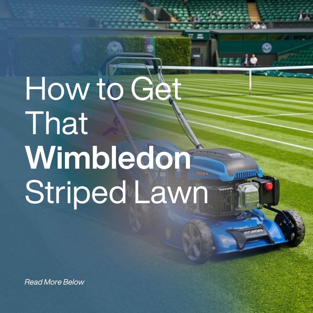 How to Get That Classic Wimbledon Striped Lawn