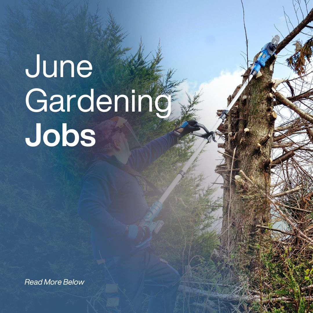 June Gardening Jobs: Essential Garden Tasks