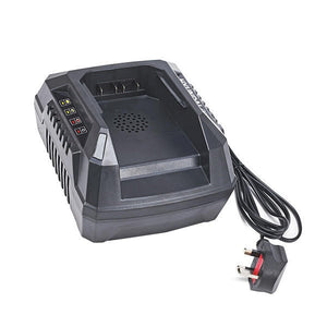 40v 5a Charger