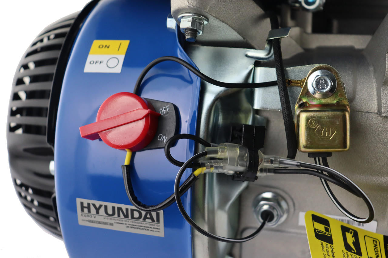 Commercial petrol engine