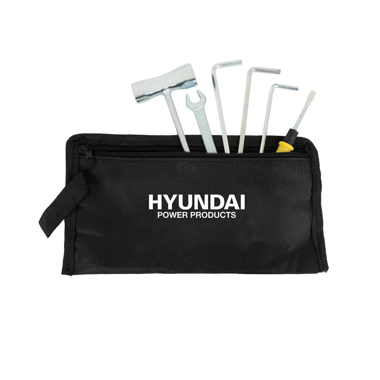 Hyundai HYEAB5600X handle controls and 56cc engine detail