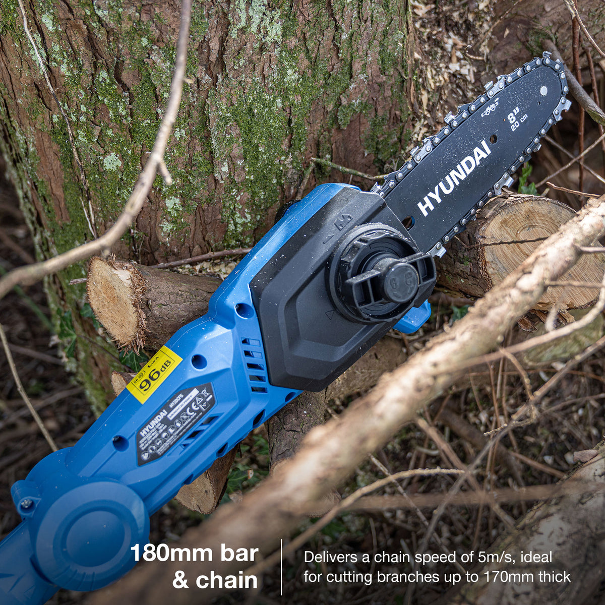 Hyundai 20V Pole Hedge Trimmer and Pole Saw Kit