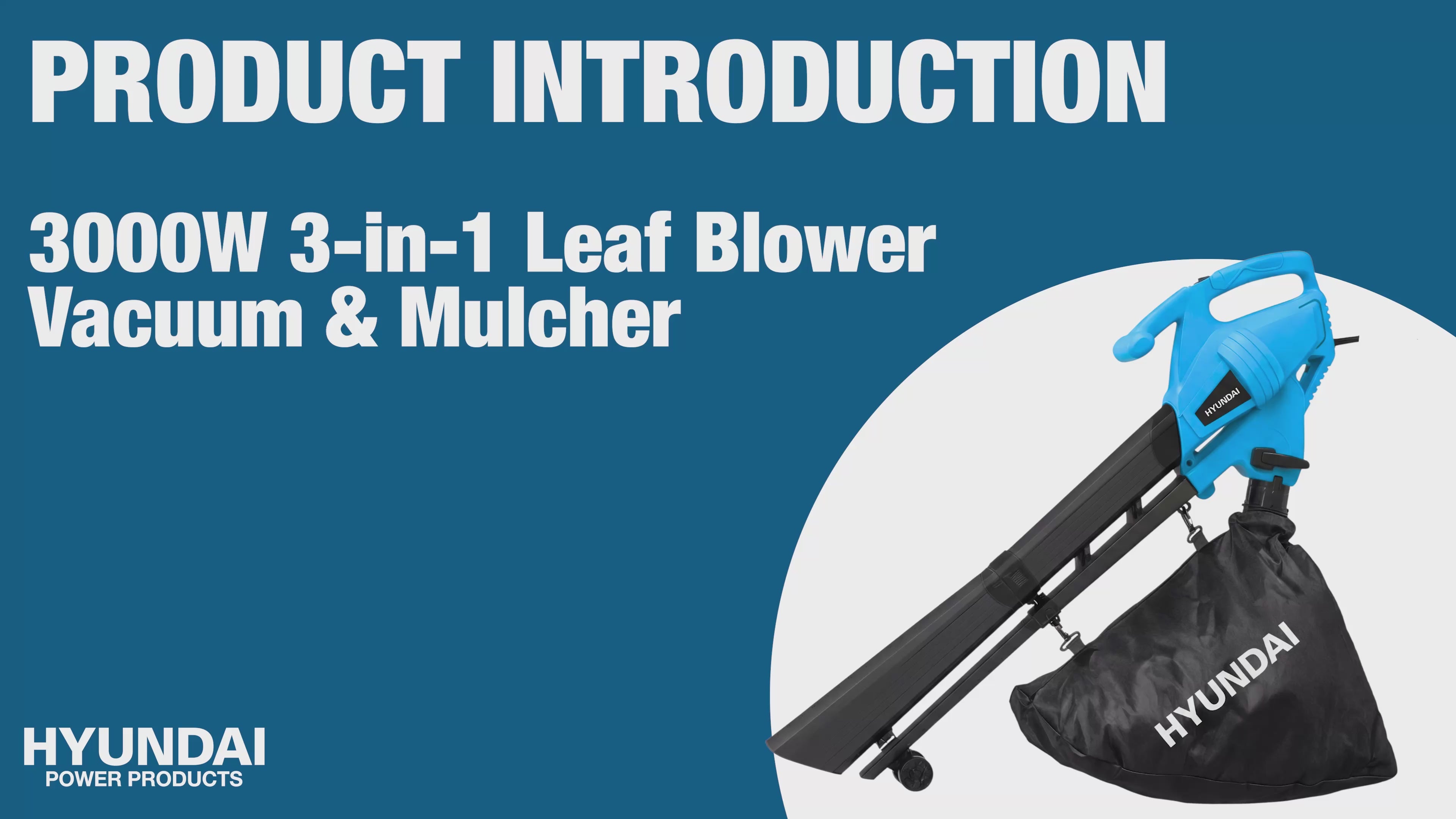 Load video: An introduction to the popular, budget, leaf blower