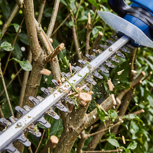 Power for Routine Hedge Growth