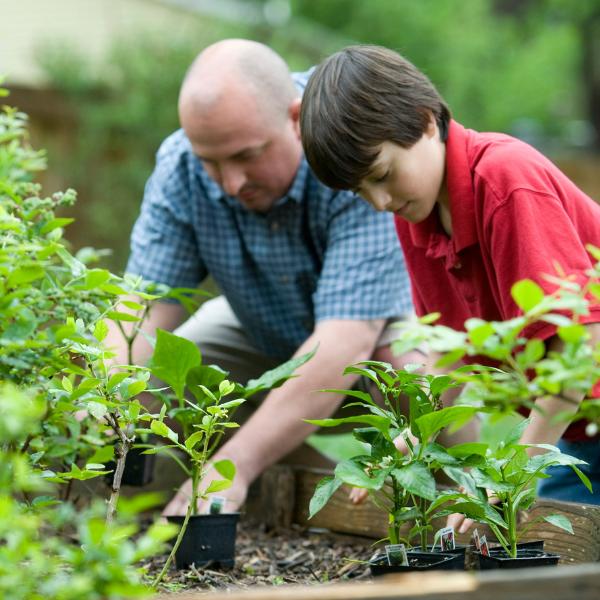 5 Essential Garden Jobs for May to get your garden Spring-ready!