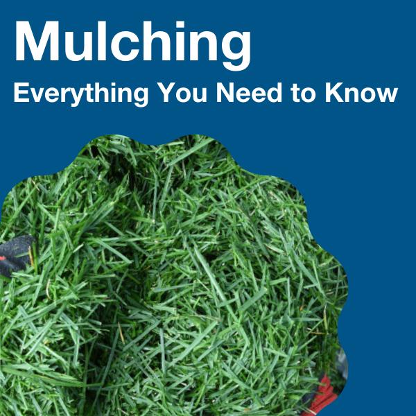 Mulching Lawn Mowers: Everything You Need to Know 