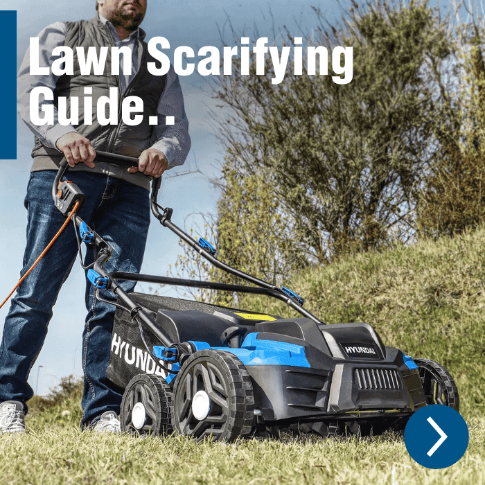 Scarifying and Aerating | Lawn Care Guide 