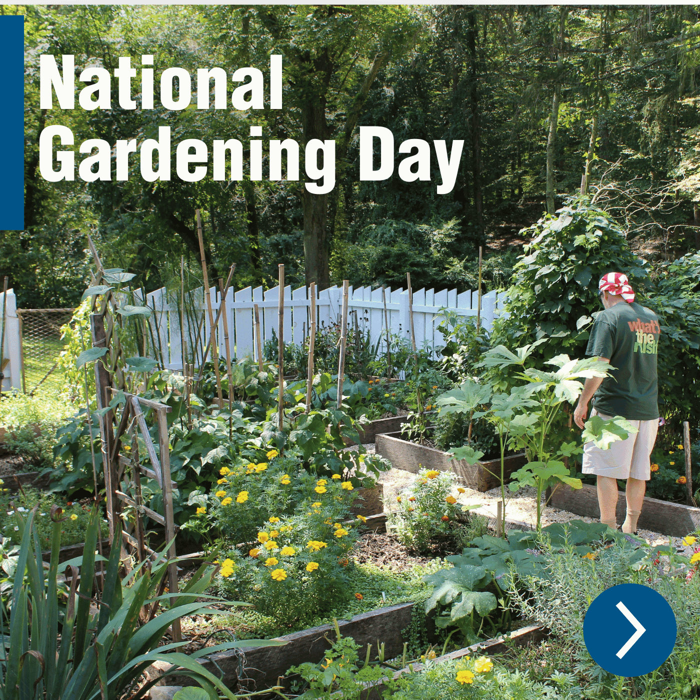 Celebrate National Gardening Day with Hyundai Garden Tools – April Gardening Jobs Made Easy