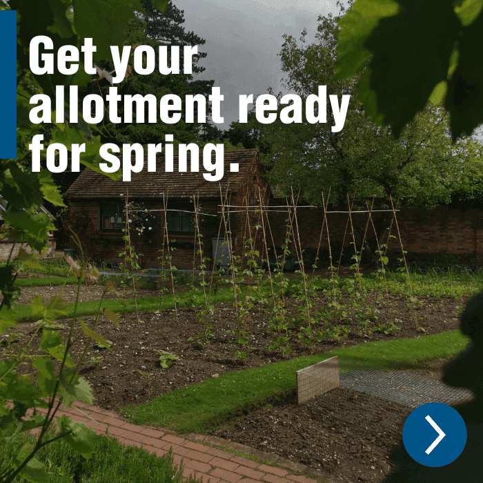 Getting your allotment ready in Spring