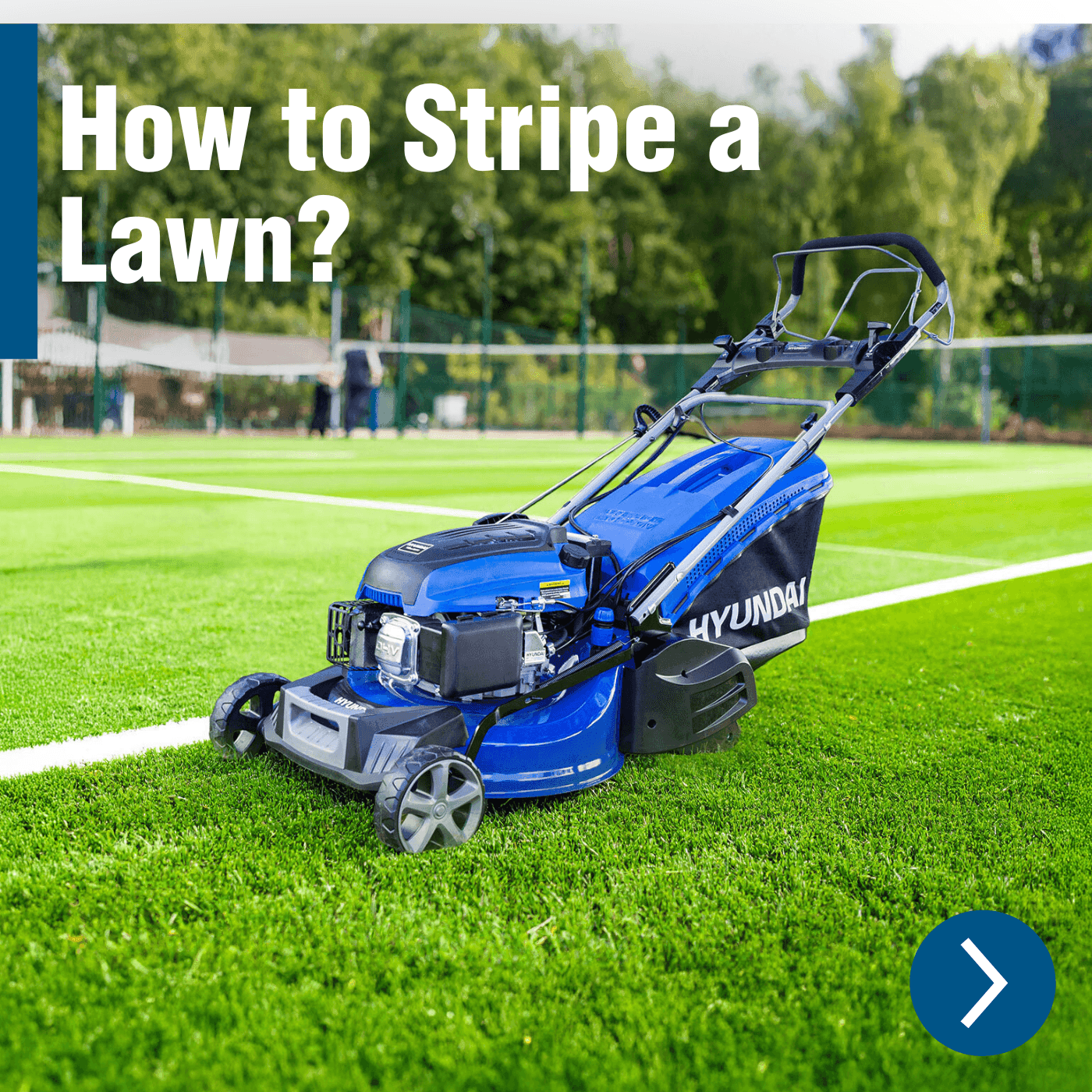 How to Stripe a Lawn? A Guide to That Classic Wimbledon Look